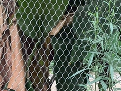 Cuadrícula de cuerdas de acero inoxidable Cuadrícula de alambre metálico Ferrule Zoo Mesh Estructura de cuadrícula en forma de diamante