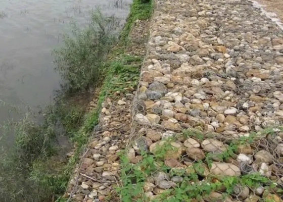 Diámetro de alambre de la caja 2.8m m de Gray Pvc Coated Hexagonal Gabion