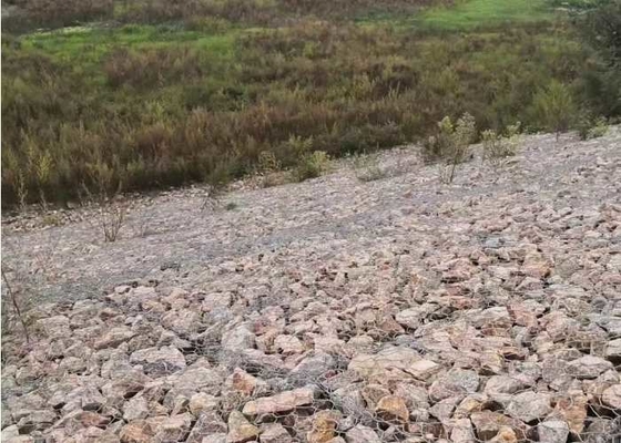 El Pvc cubrió Eco  Gabion Mattress Slope Protection amistoso