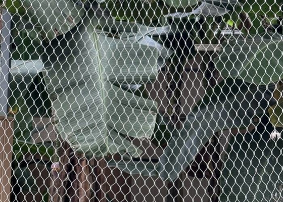 Romboide Hole Zoo Rope Mesh Acero inoxidable Flexible Ferroled para recinto de animales