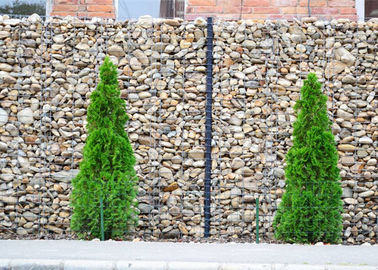 El cinc pesado cubrió la forma galvanizada de la perforación rectangular de la cesta de la pared para los jardines/los parques
