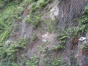 Malla de alambre hexagonal galvanizada hexagonal para la protección del banco/de la montaña
