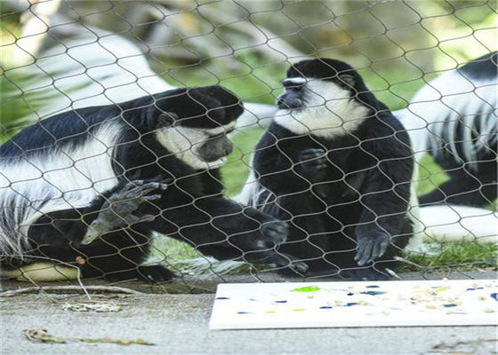 cuerda de acero Mesh For Animal Enclosure del ODM 304 316l