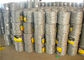 Galvanizado y el Pvc cubrió la bobina del alambre de púas de la concertina de 1.6m m